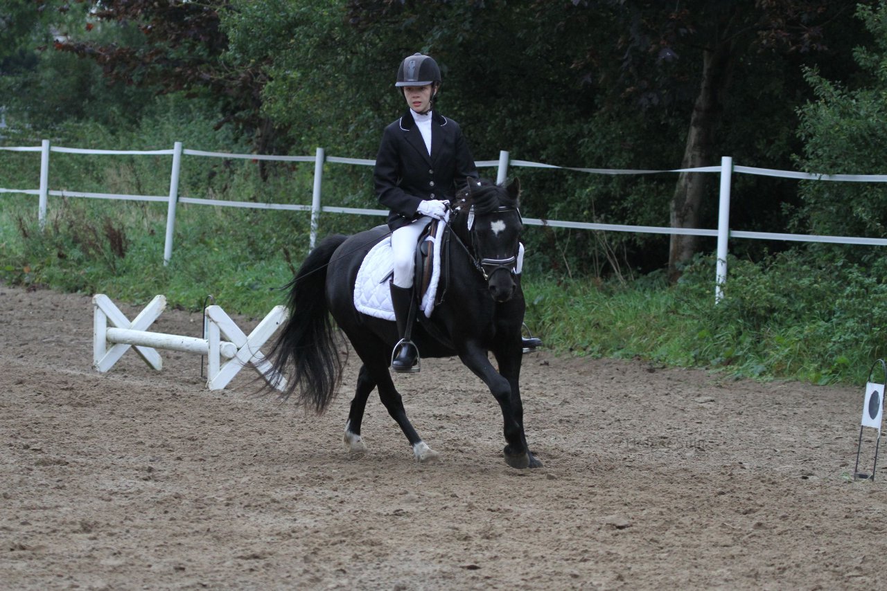 Bild 357 - WBO-Turnier am 18.9.11